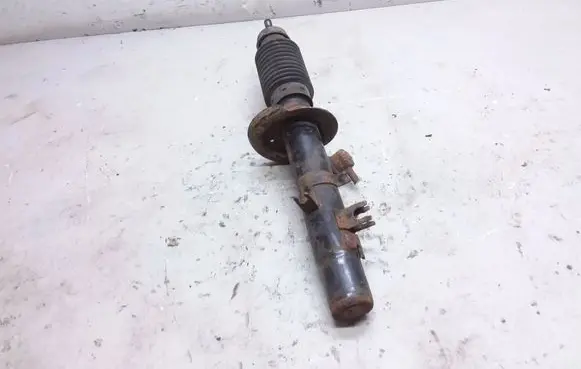 Citroen C2 Front shock absorber/damper