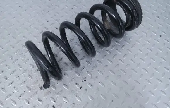 Ford Mustang VI Rear coil spring FR3C5560BC FR3C-5560-BC FR3Z-5560-C