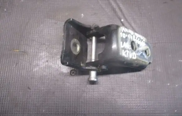 Peugeot 508 RXH Rear door lower hinge