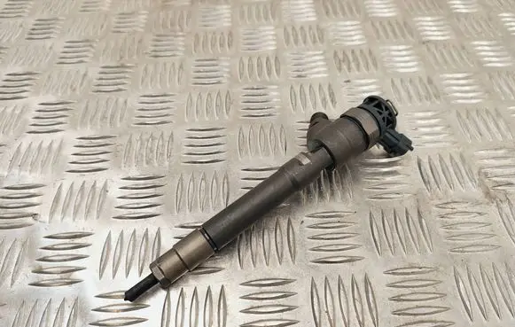 Renault Espace V (RFC) Fuel injector 0445110569