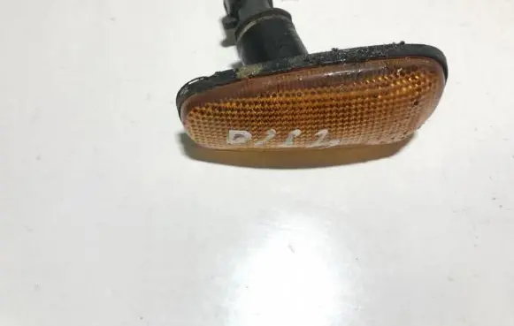 Front fender indicator light
