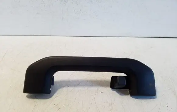 Polestar 2 Rear interior roof grab handle