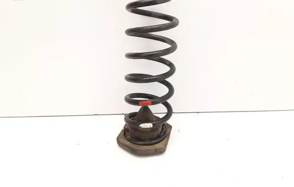 Nissan Qashqai Rear coil spring 550324EA0A