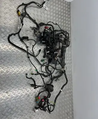 Citroen Jumpy Other wiring loom
