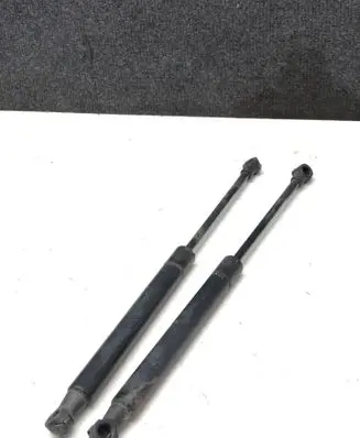 Tailgate/trunk strut/damper
