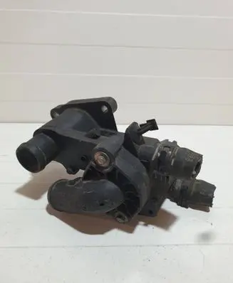 Thermostat/thermostat housing