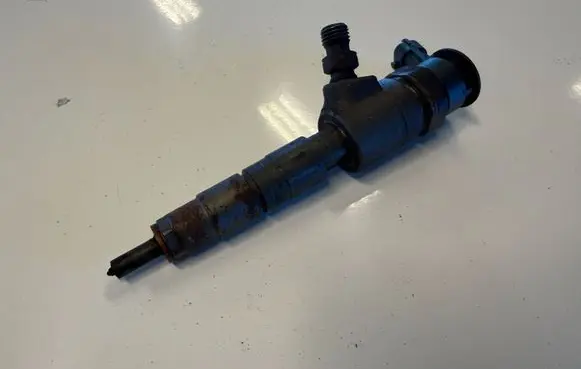 Peugeot Partner III Fuel injector 0445110340