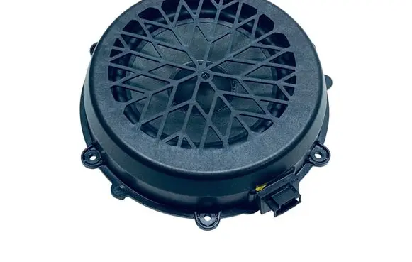 Audi E-tron GT Rear door speaker 971035453F
