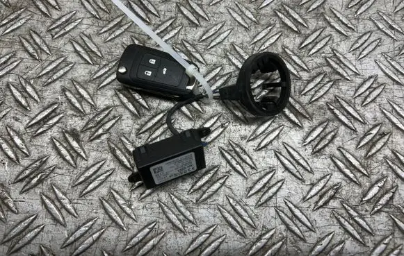 Opel Insignia A Immobiliser reader (aerial) 13504286