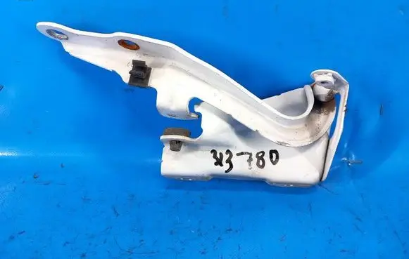 Toyota Tundra II Engine bonnet/hood hinges 534100C020