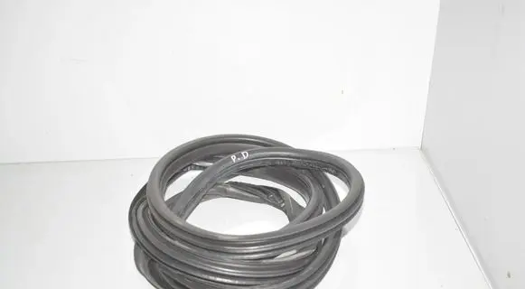 BMW 2 F45 Rubber seal front door (on door) 7420077 51357420077
