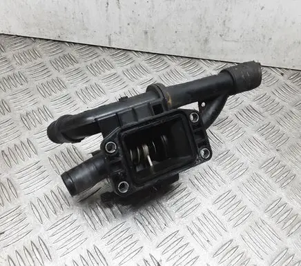 Thermostat/thermostat housing