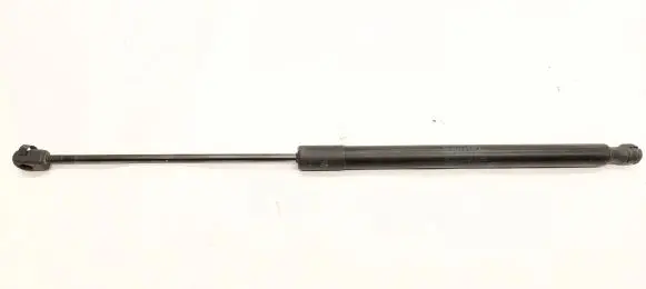 BMW X1 E84 Tailgate/trunk strut/damper 2990136