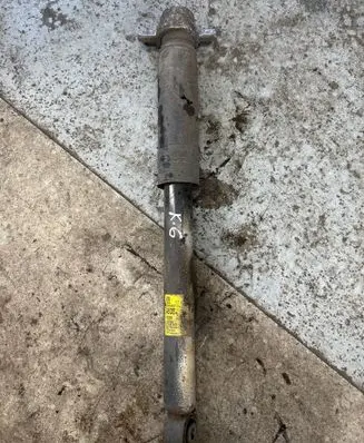 Opel Zafira C Rear shock absorber/damper 13419902 0266