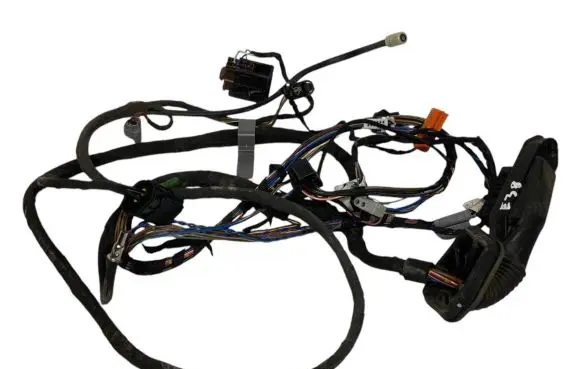 Front door wiring loom
