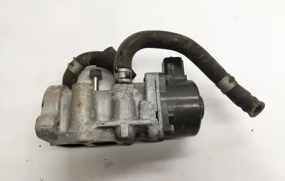 Mitsubishi Pajero EGR valve