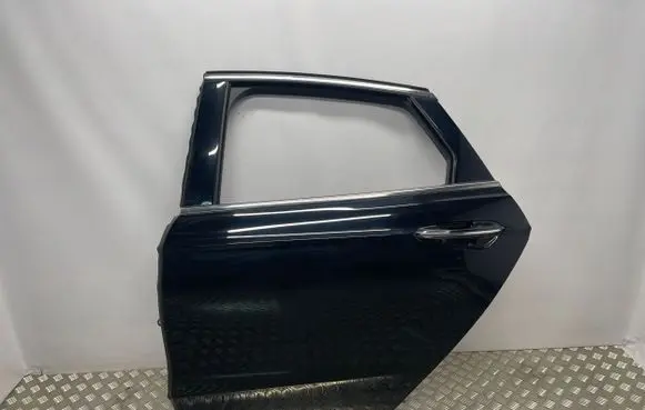 Ford Fusion II Rear door 