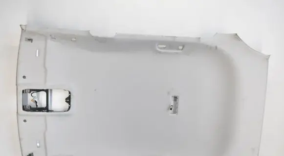 Volkswagen Tiguan Headlining 571867501