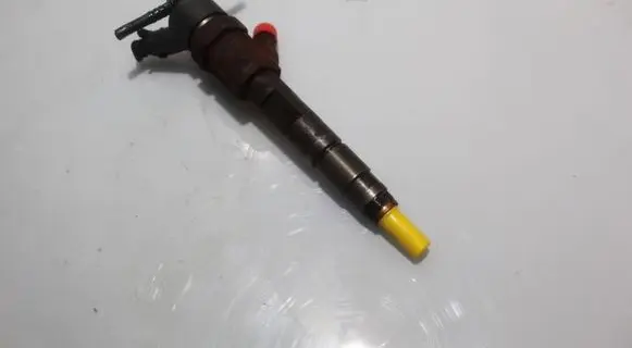 Renault Scenic II - Grand scenic II Fuel injector 0445110110