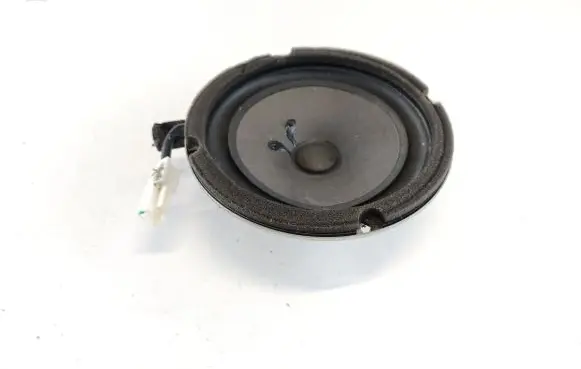 Front door speaker