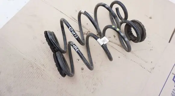 Rear coil spring