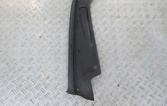 Rear/tail light trim molding
