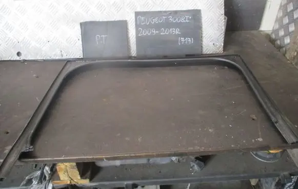 Peugeot 3008 I Door glass rail 