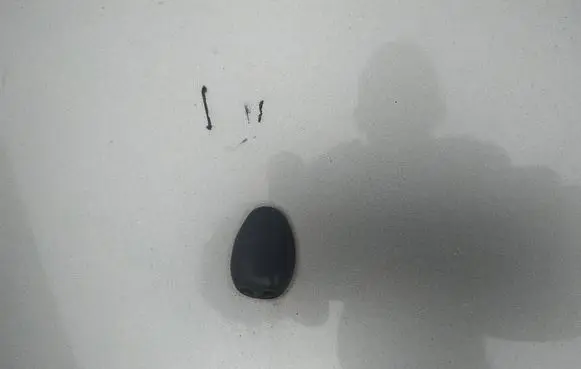 Nissan X-Trail T30 Windshield washer spray nozzle 