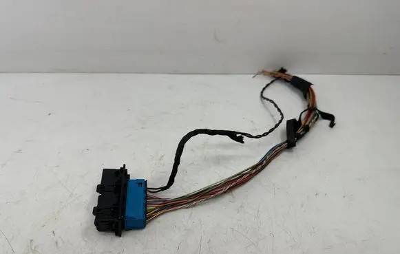 BMW 3 G20 G21 Front door wiring loom 9221027 61139221027