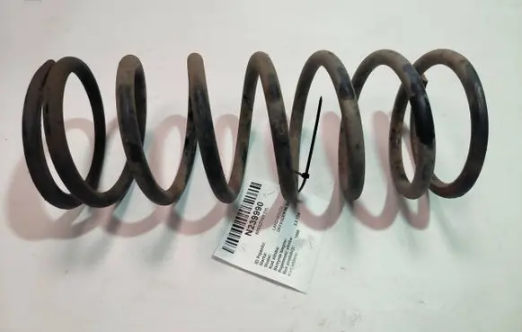Rear coil spring
