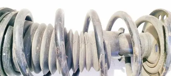 Front coil spring