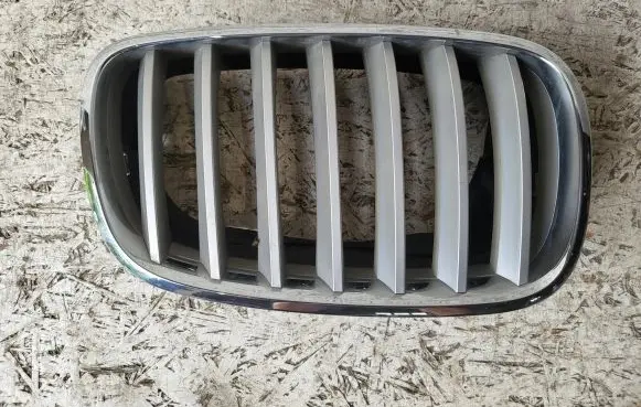 BMW X6 E71 Front bumper upper radiator grill