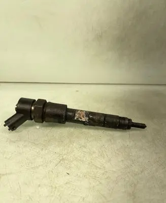 Renault Scenic II - Grand scenic II Fuel injector 0445110110B