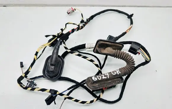 Volkswagen PASSAT CC Rear door wiring loom 3C8971693EC TAB016615L