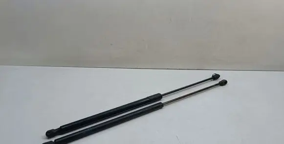 Tailgate/trunk strut/damper