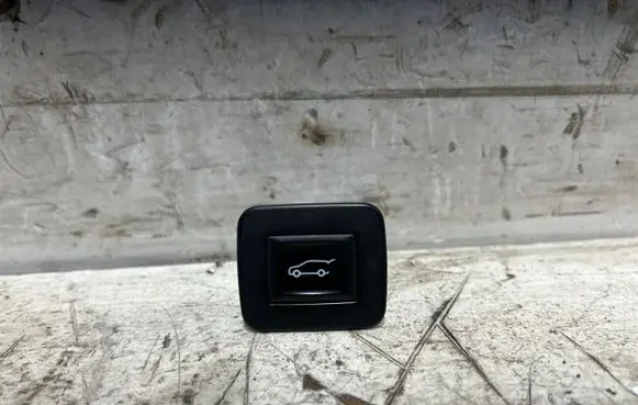 Opel Insignia A Tailgate/trunk/boot open switch 18362979