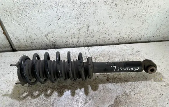 Citroen C5 Front shock absorber/damper