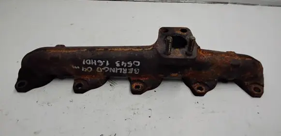 Citroen Berlingo Exhaust manifold 190408