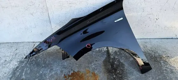 Citroen C4 II Picasso Fender 