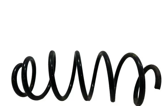 Front coil spring