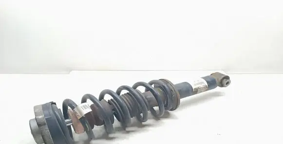BMW X3 F25 Rear shock absorber with coil spring 6796317 33526796317