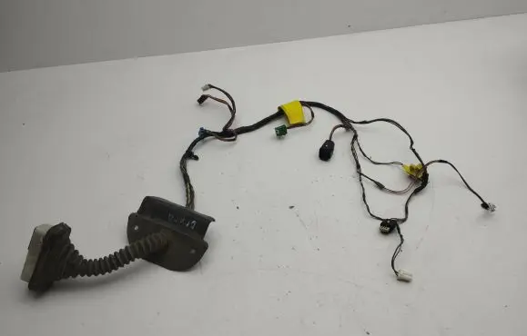 Chrysler Town u0026 Country V Front door wiring loom P68064502AA