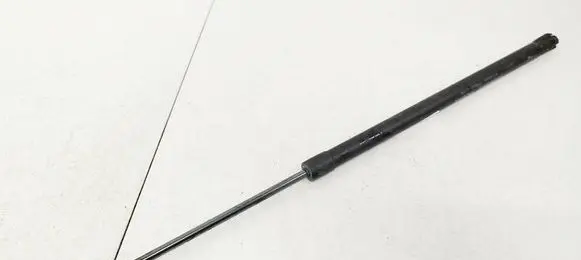 Tailgate/trunk strut/damper