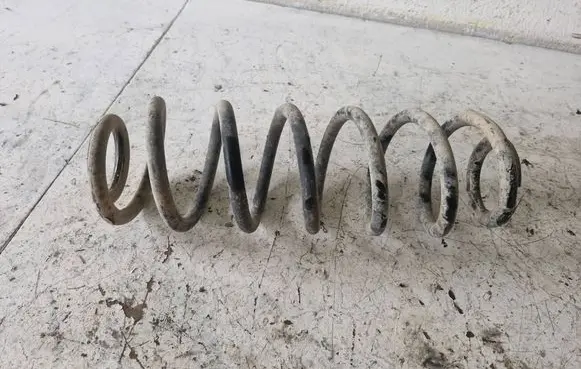 Rear coil spring