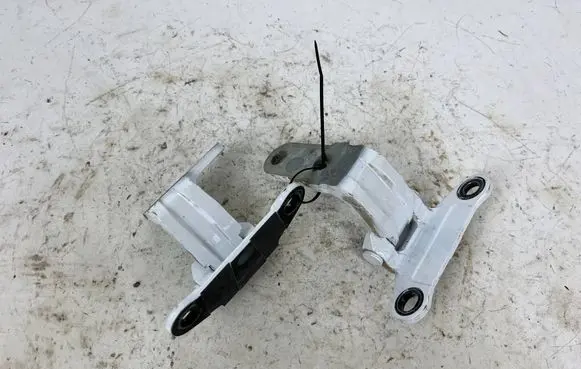 Toyota Mirai II Rear door hinge set 