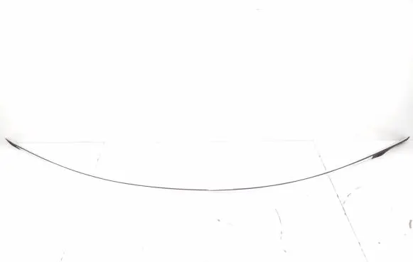 Mercedes-Benz CL C216 Roof trim bar molding cover A2166900139