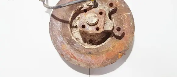 Renault Megane I Stub axle 