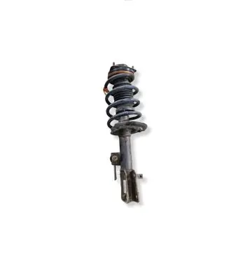 Dodge Journey Front shock absorber with coil spring P05151192AL