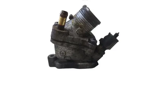 Thermostat/thermostat housing