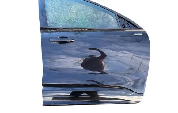 Ford Kuga III Front door 